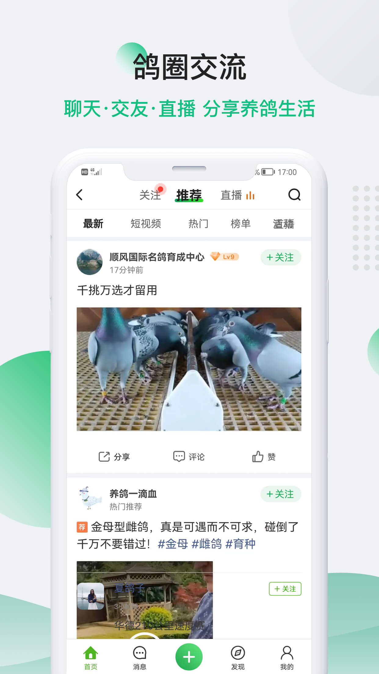 精彩截图-中信网-信鸽信息网2026官方新版