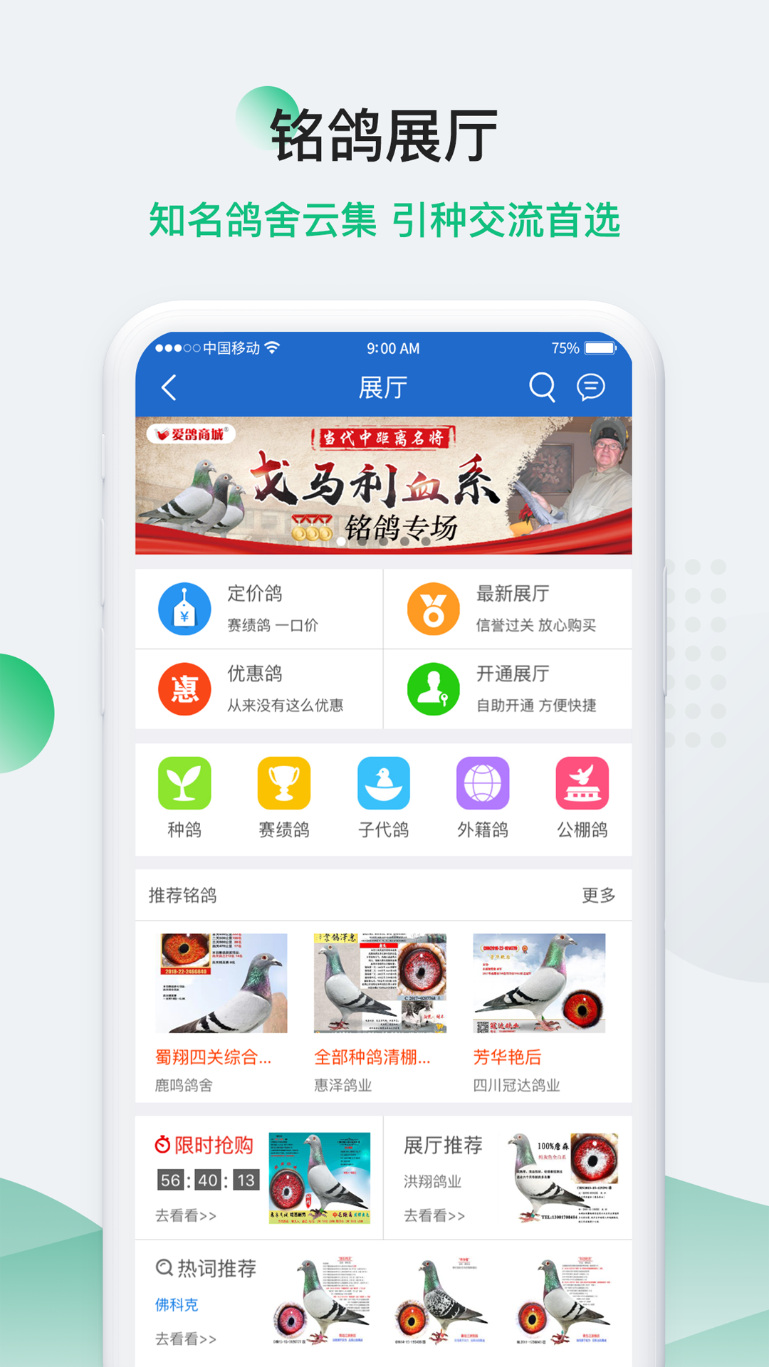 精彩截图-中信网-信鸽信息网2026官方新版