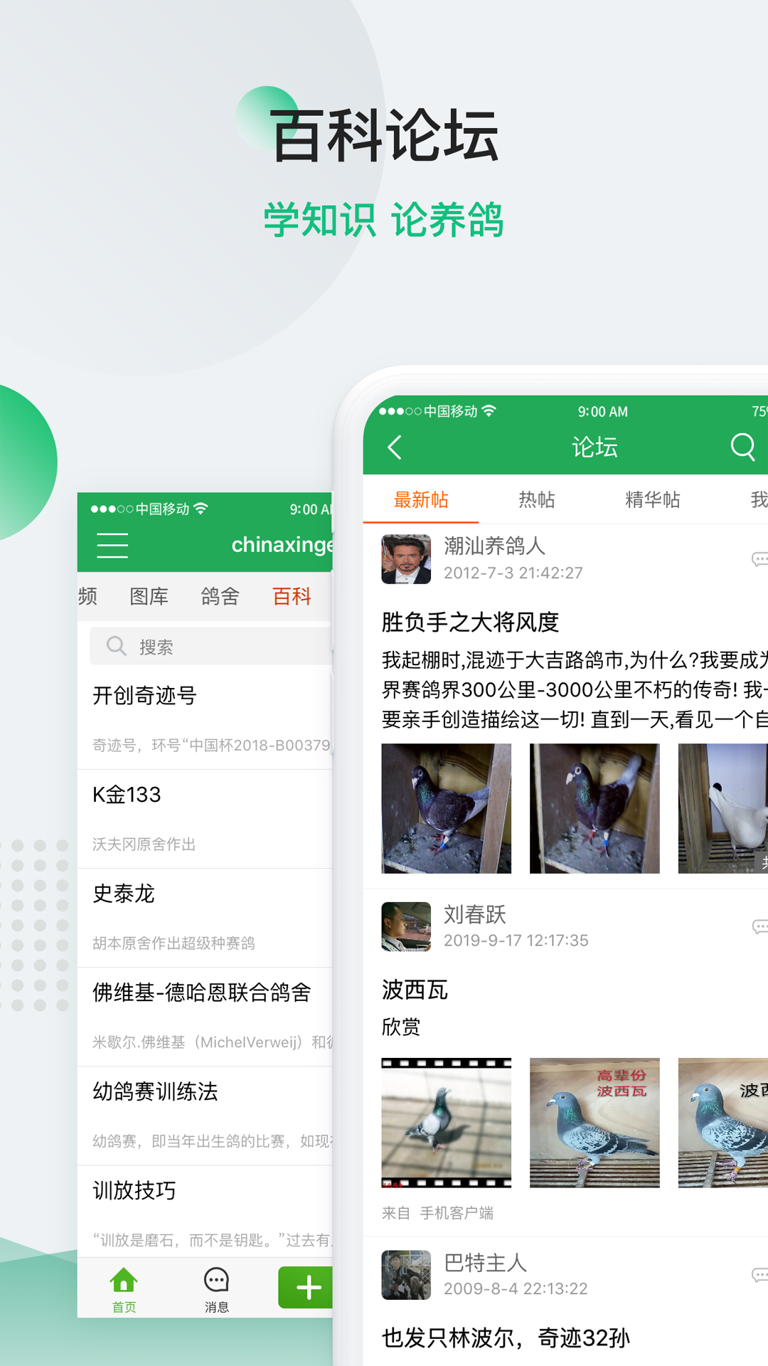 精彩截图-中信网-信鸽信息网2026官方新版