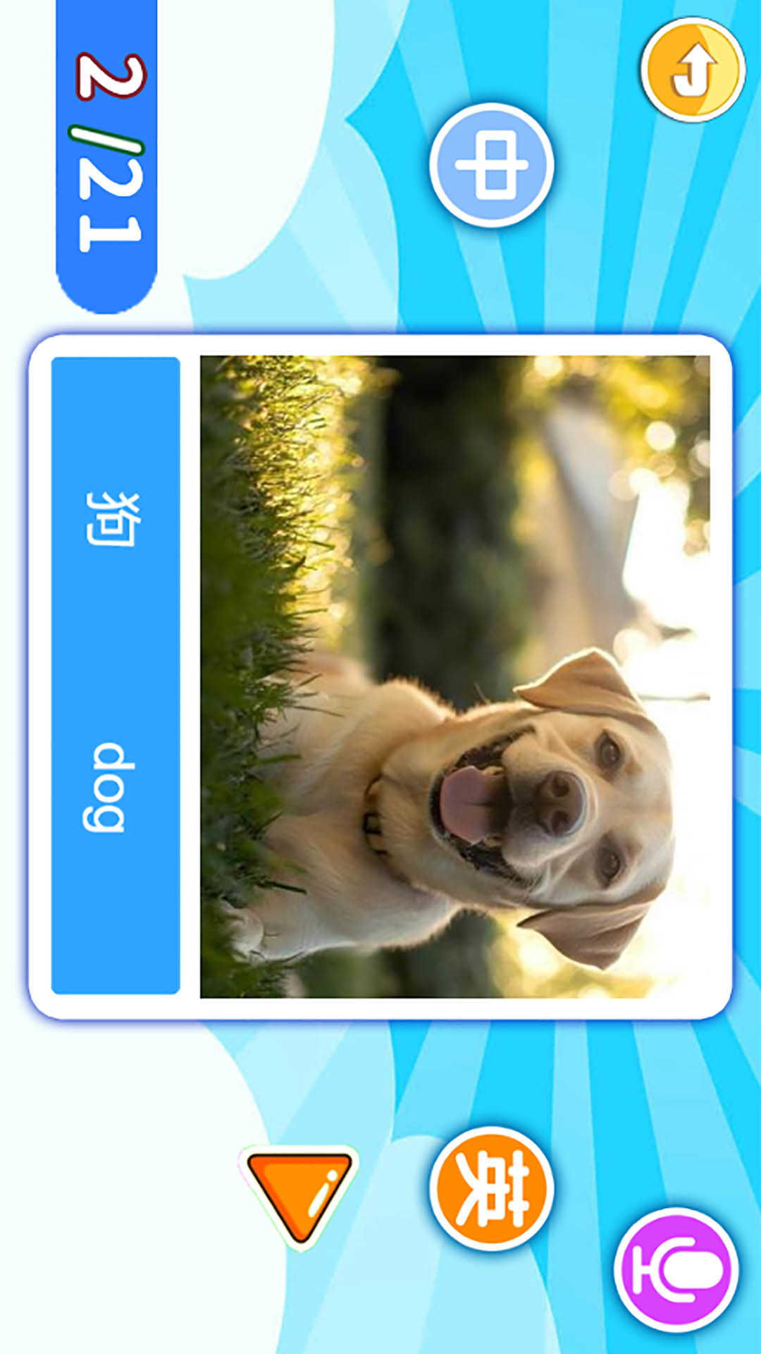 精彩截图-宝宝英语启蒙2026官方新版