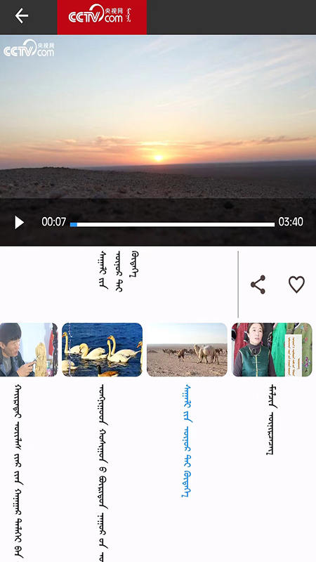 精彩截图-mongolntv2026官方新版