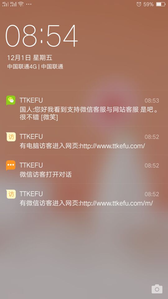 ttkefu网站在线客服系统 截图 1