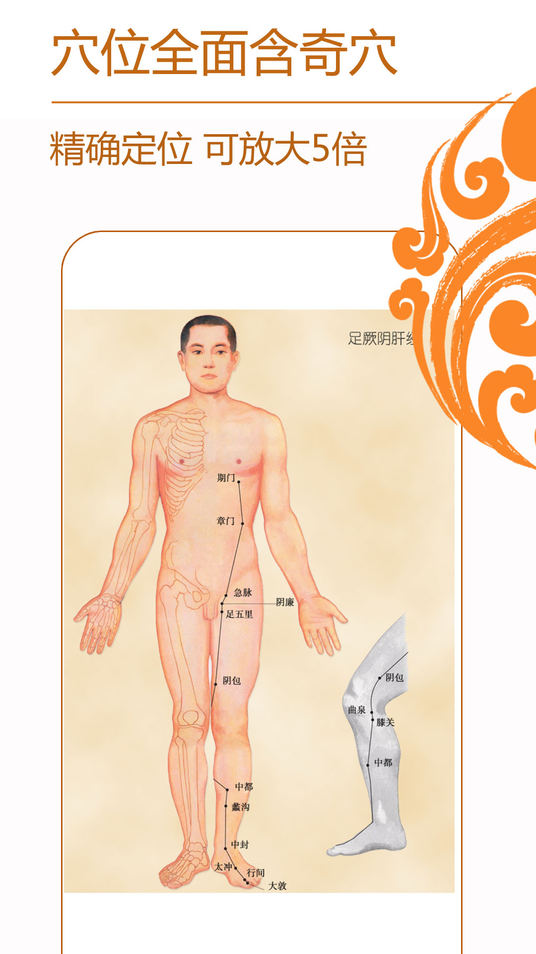 精彩截图-经络养生2025官方新版