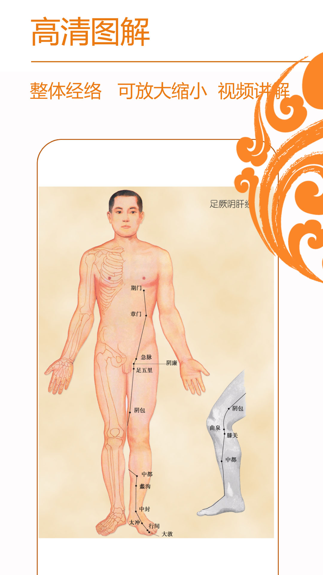 精彩截图-经络养生2026官方新版