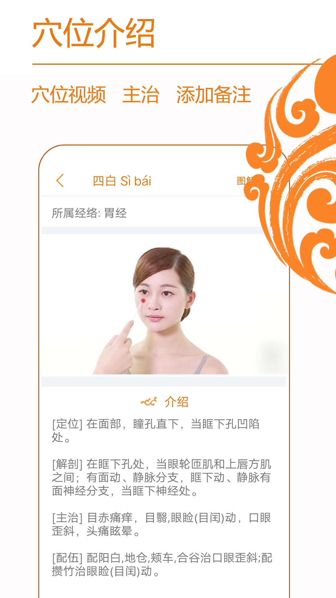 精彩截图-经络养生2026官方新版