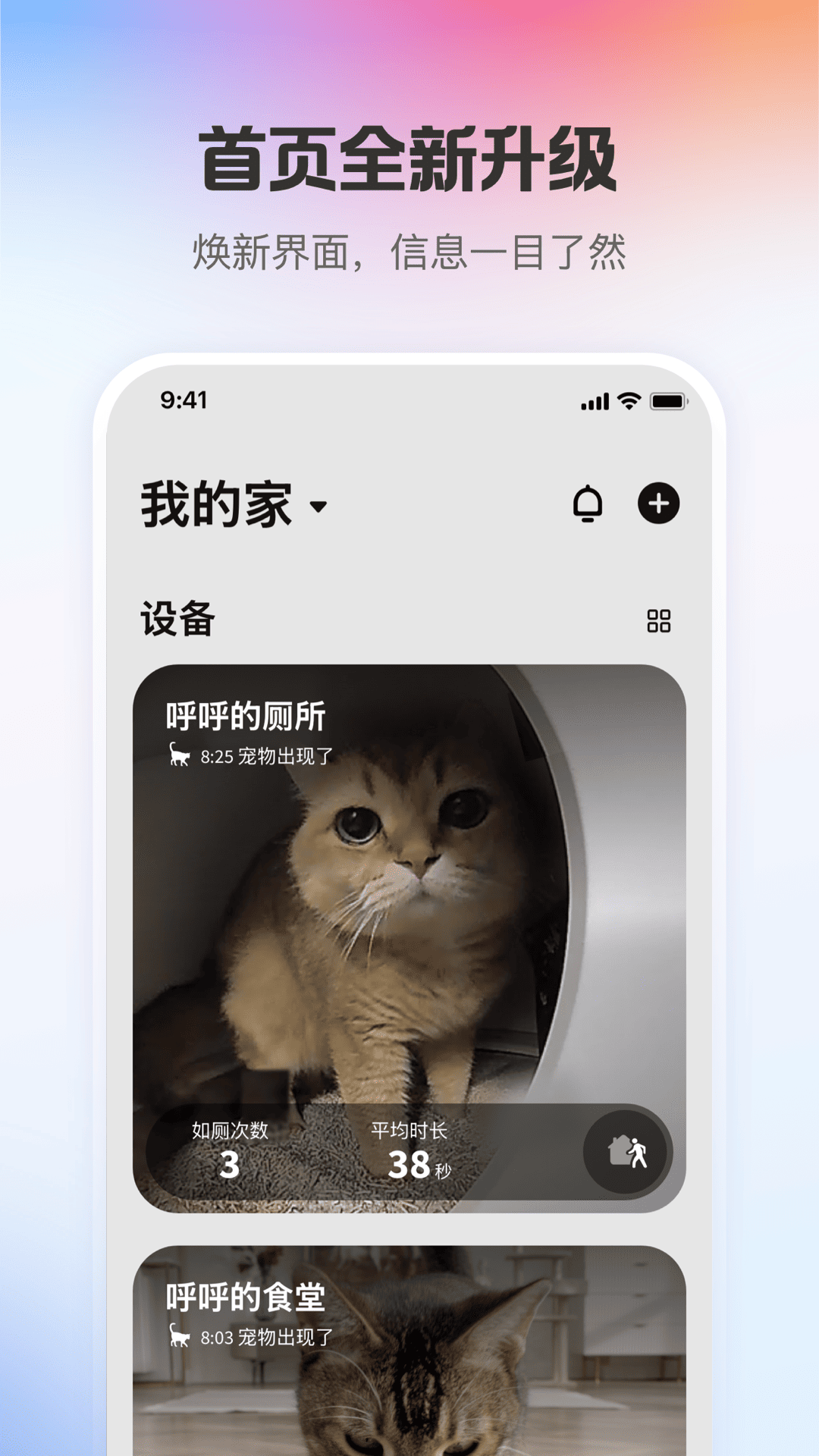 精彩截图-小佩宠物2026官方新版