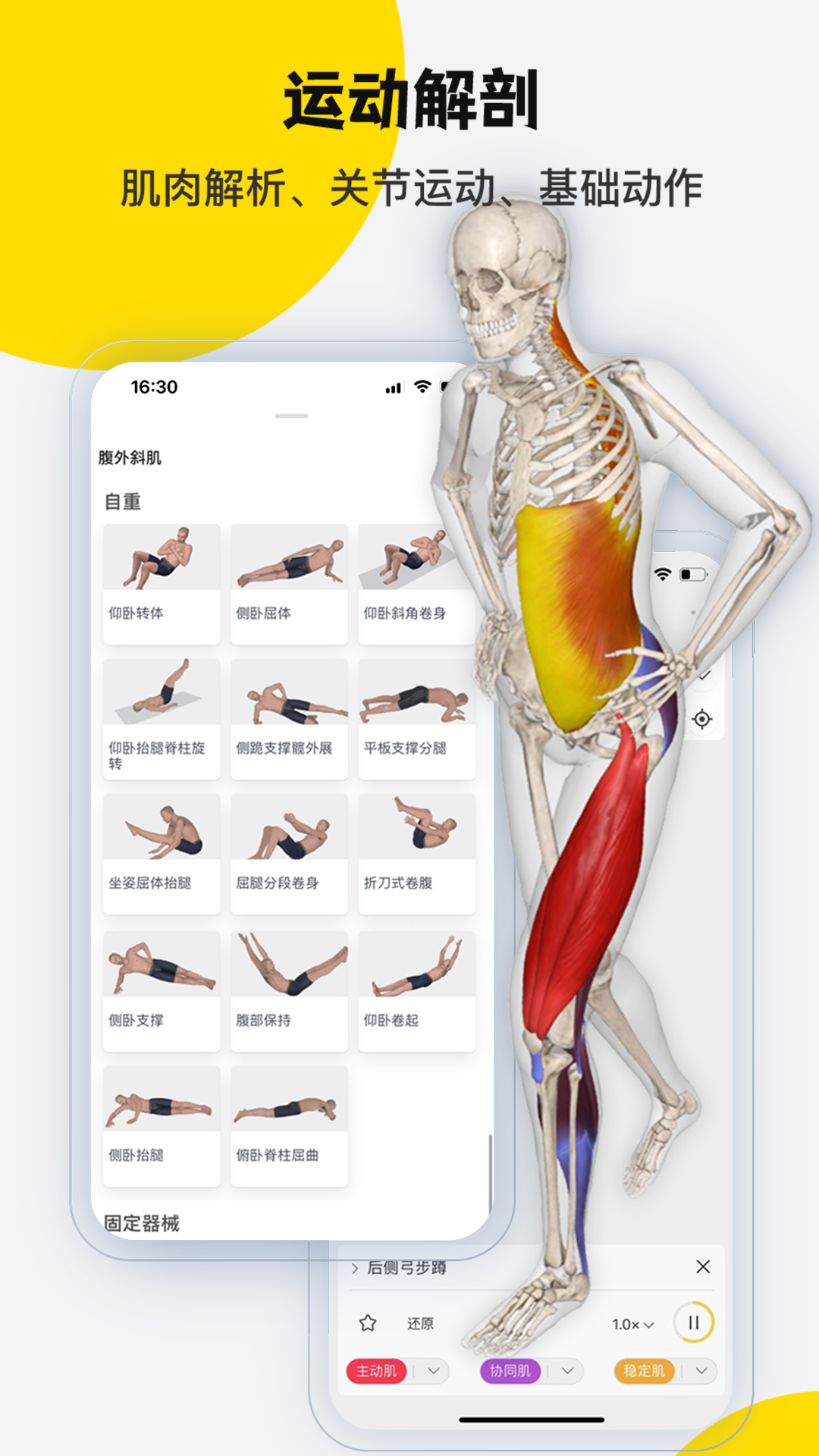 3Dbody解剖截图