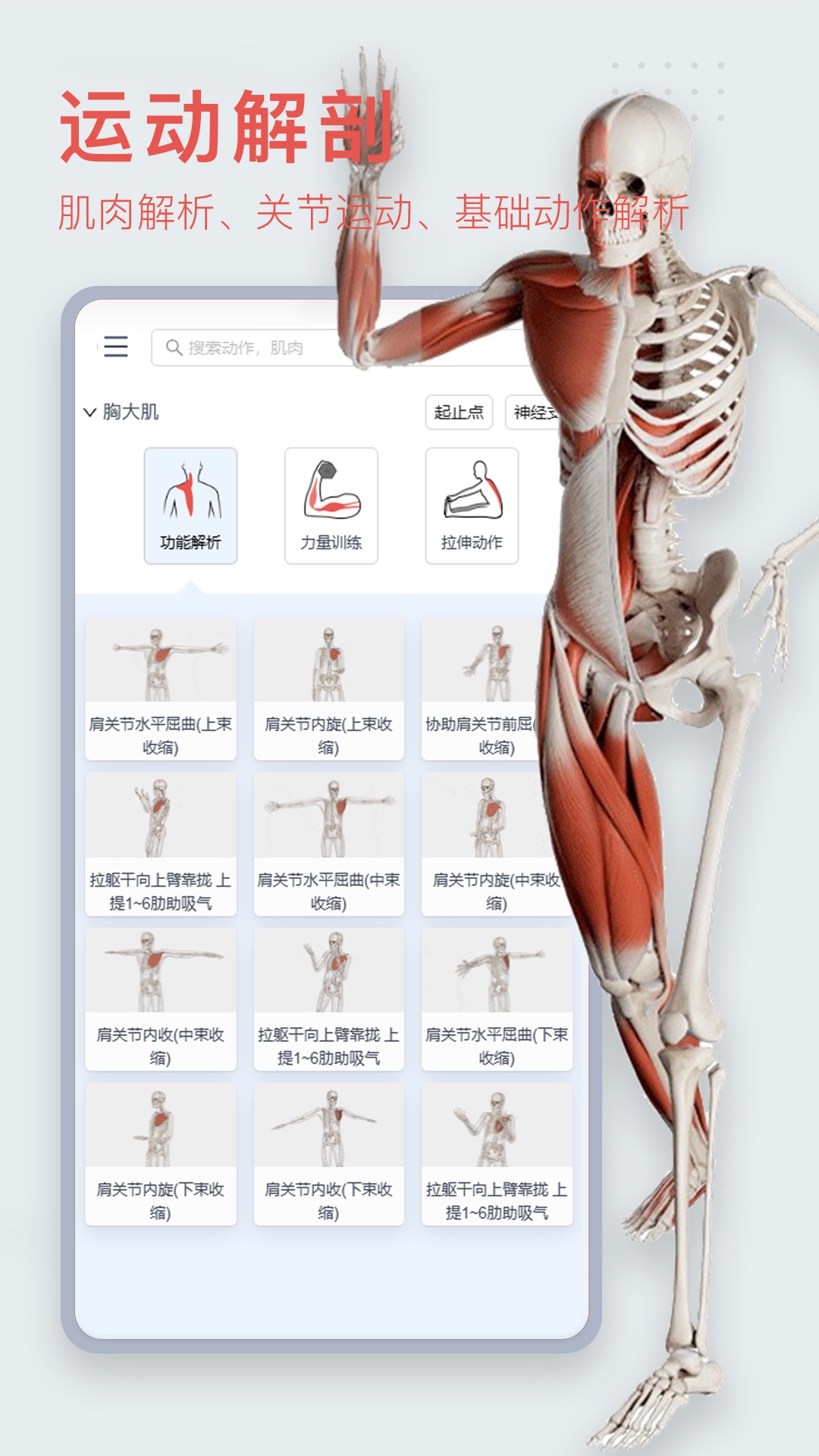 精彩截图-3Dbody解剖2025官方新版
