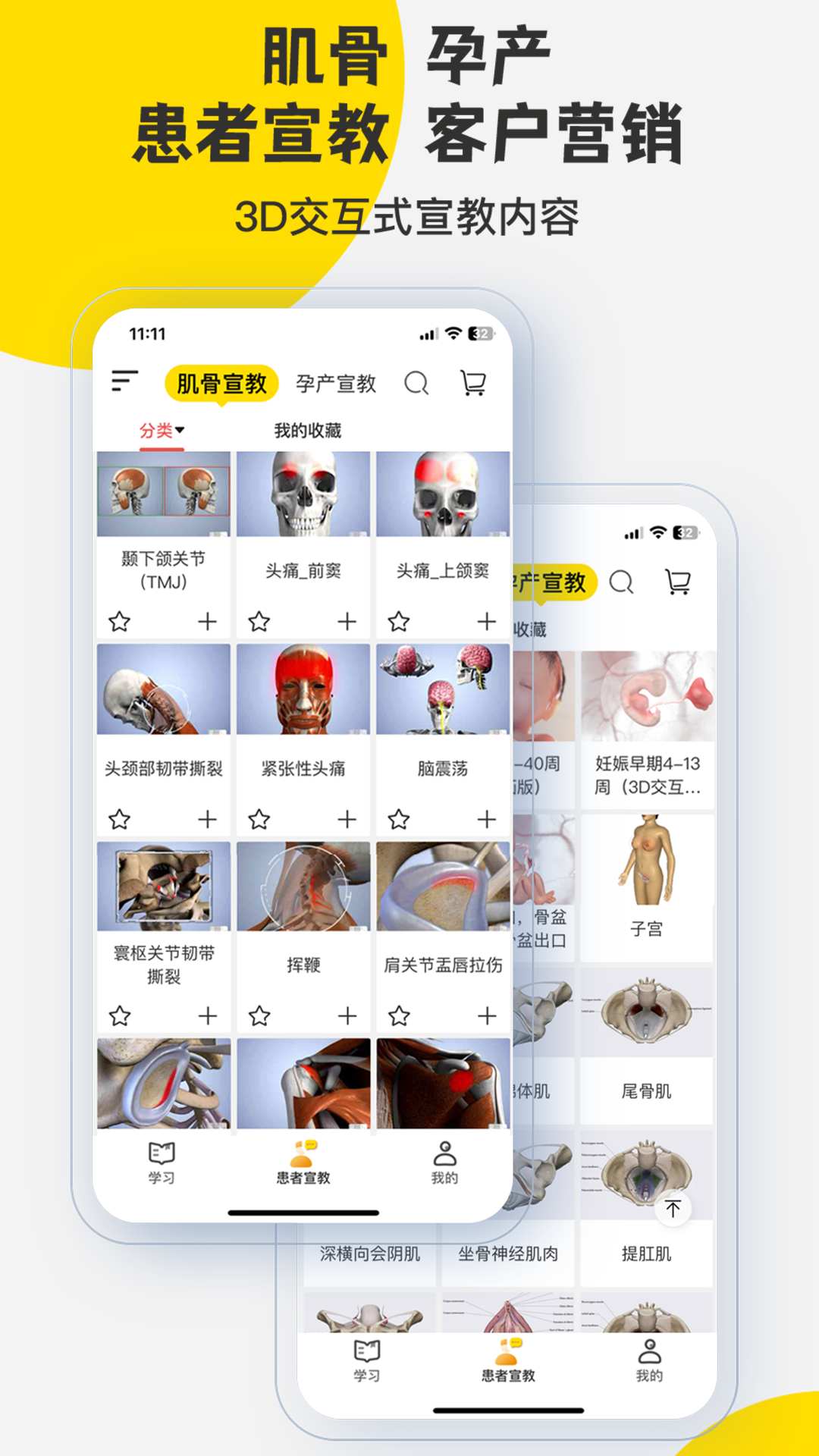 3Dbody解剖截图