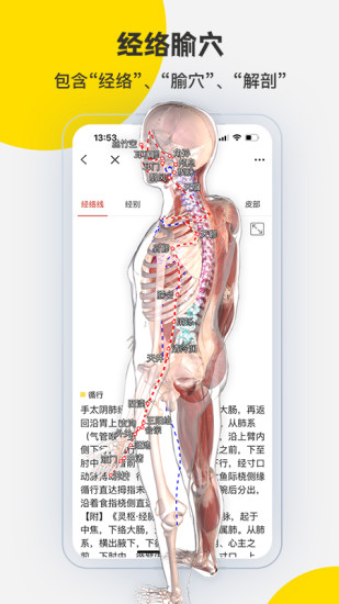 精彩截图-3DBody解剖2024官方新版