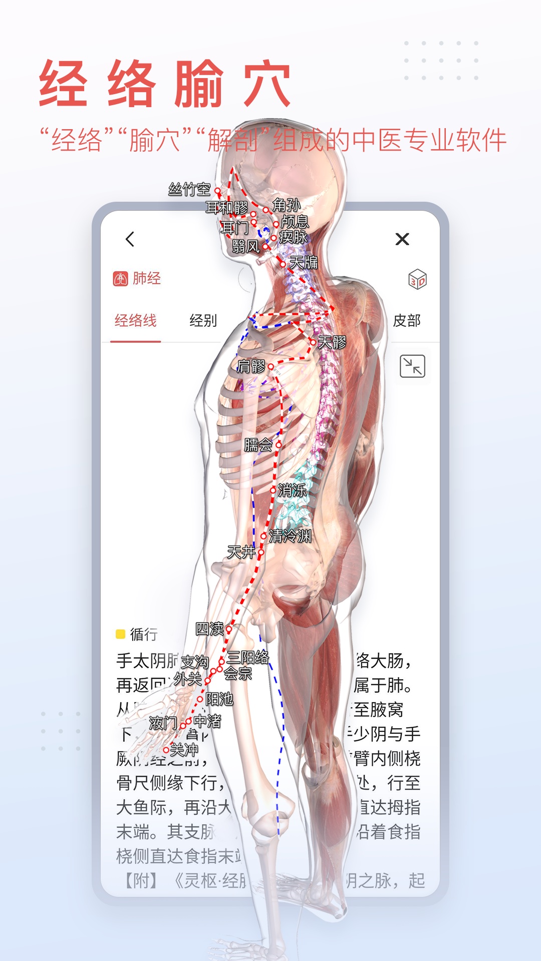精彩截图-3Dbody解剖2025官方新版