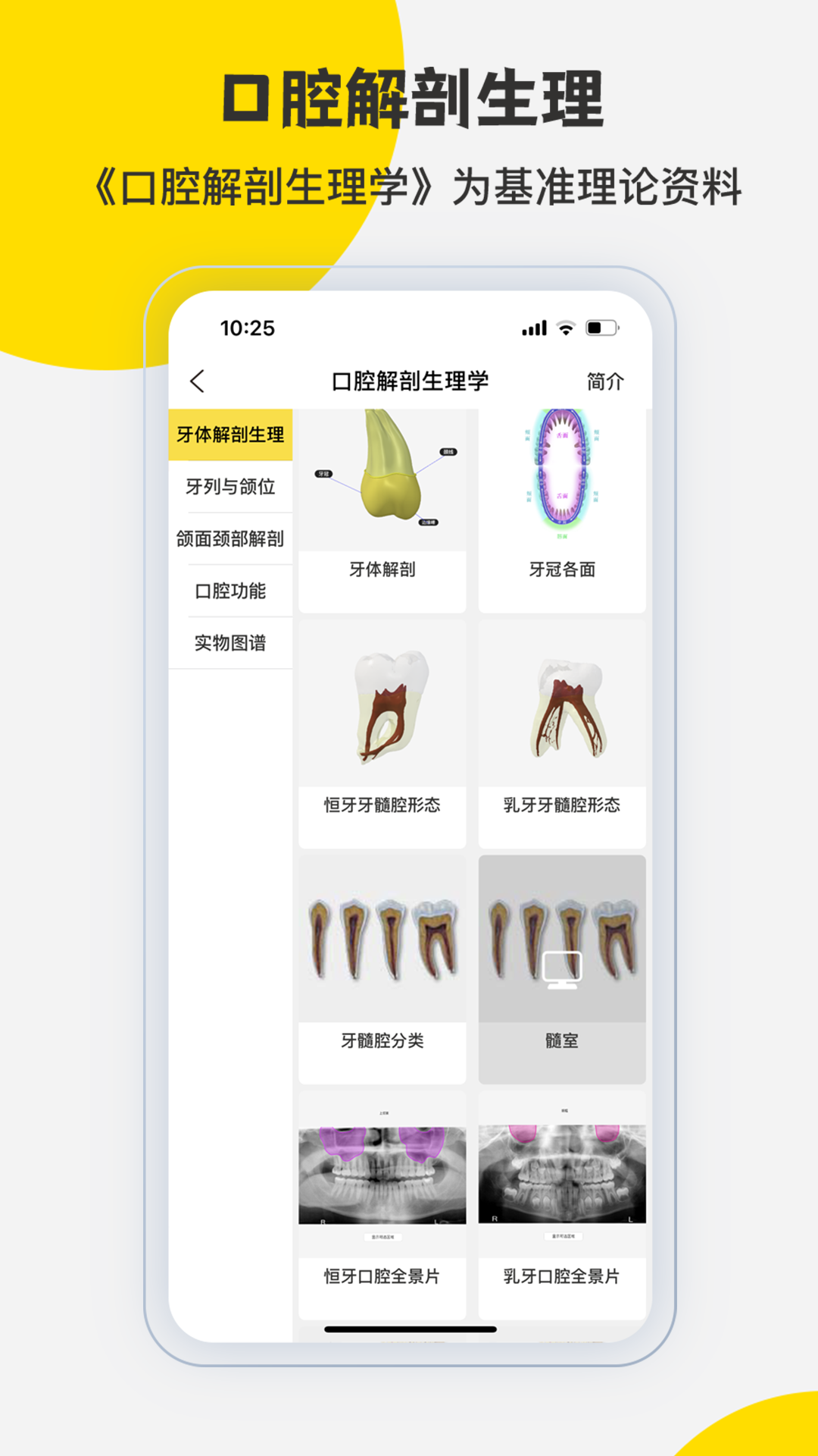 3Dbody解剖截图