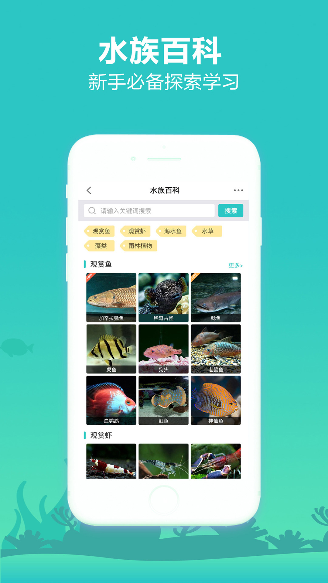 精彩截图-泡泡水族2025官方新版