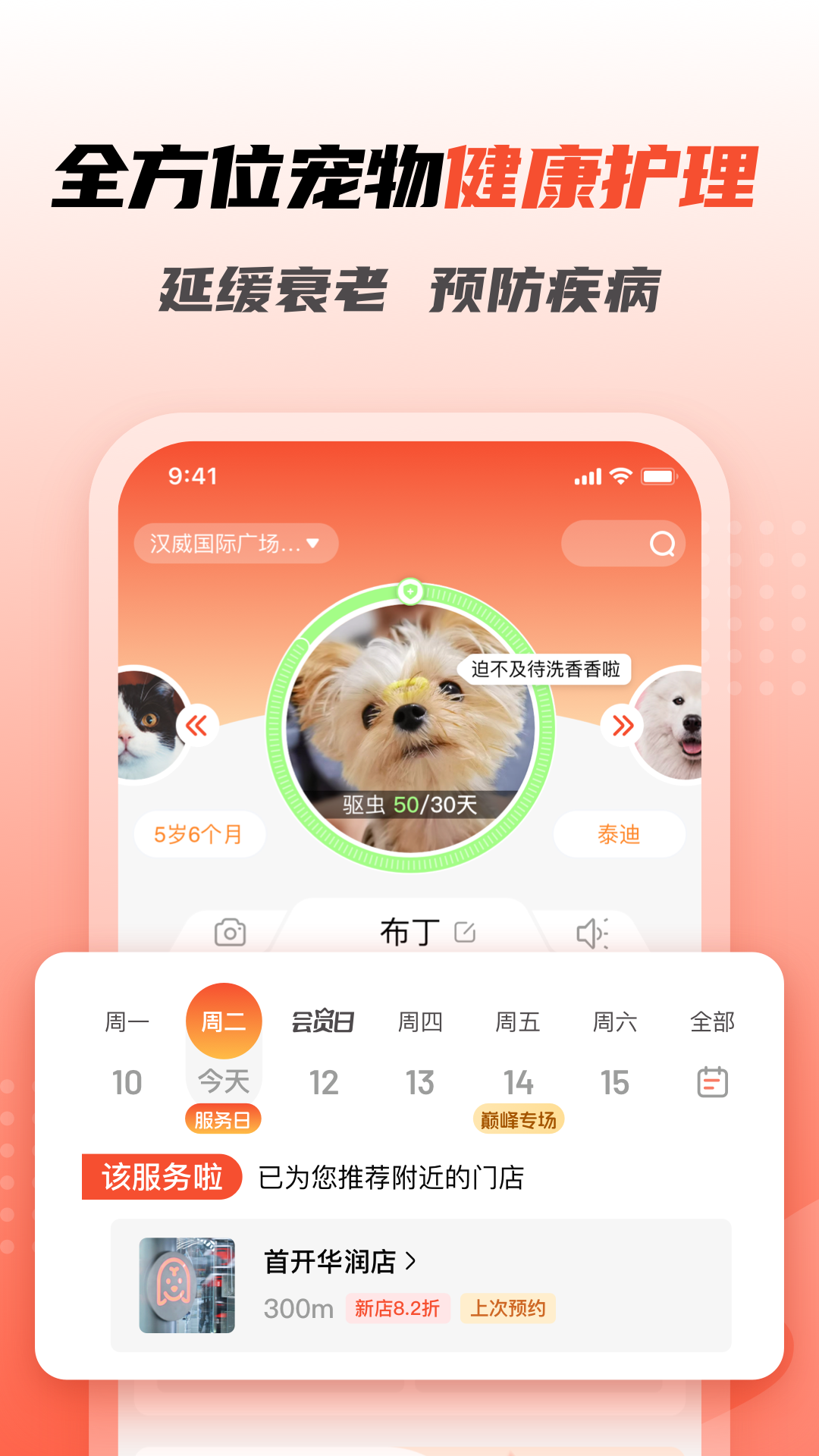 宠物营养顾问：为您的宠物定制健康饮食计划