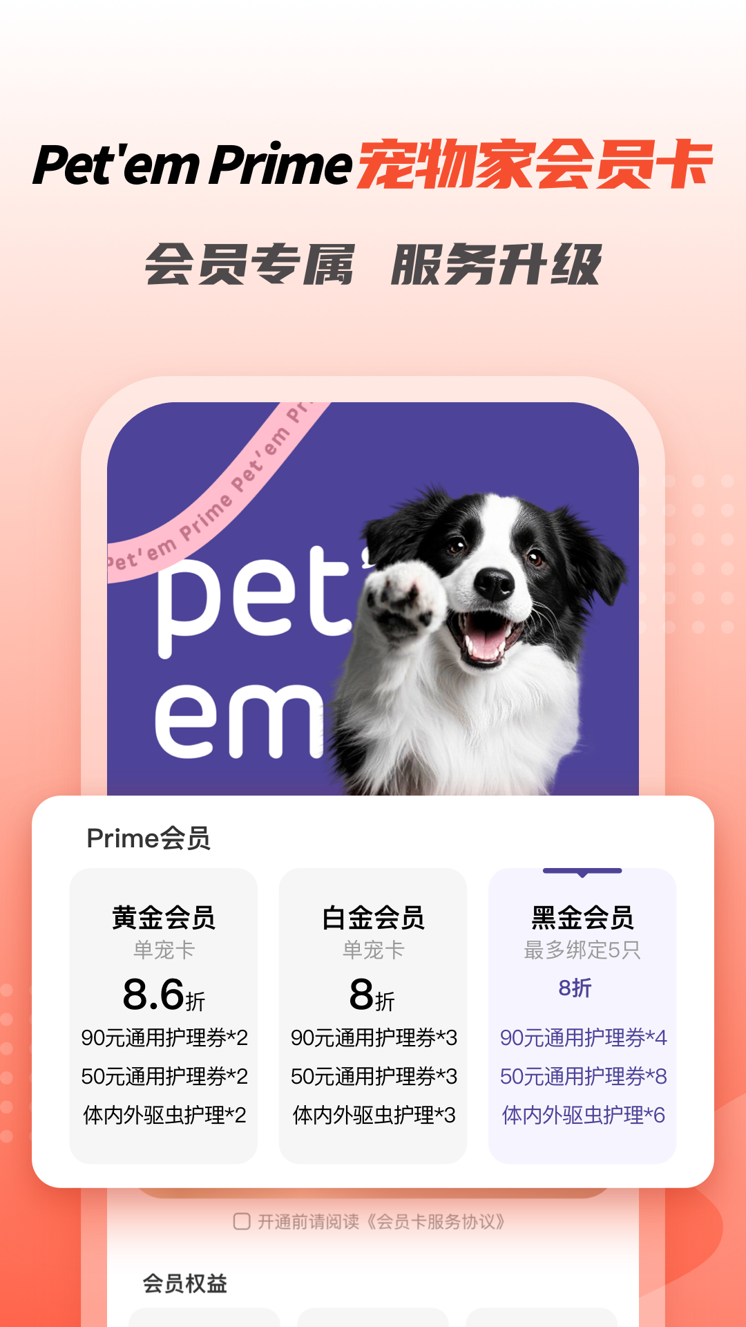 精彩截图-宠物家2025官方新版