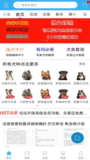 精彩截图-猛犬俱乐部2024官方新版