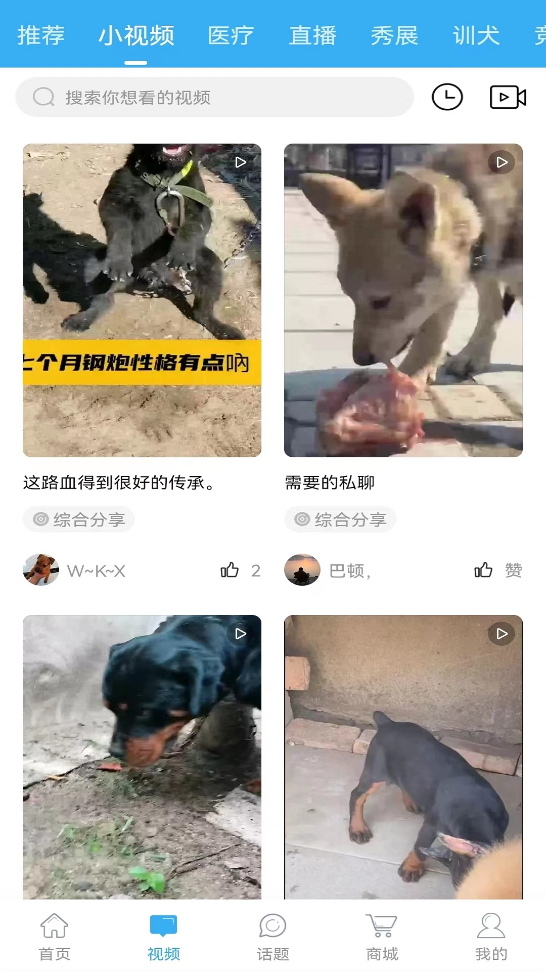精彩截图-猛犬俱乐部2025官方新版