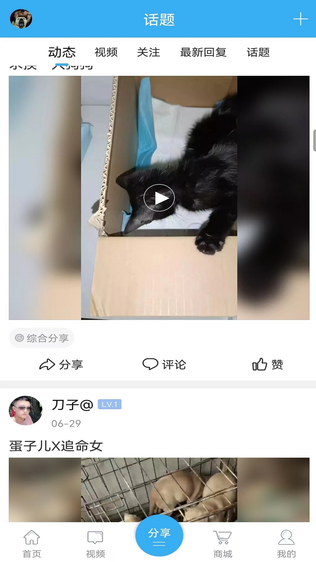 精彩截图-猛犬俱乐部2025官方新版