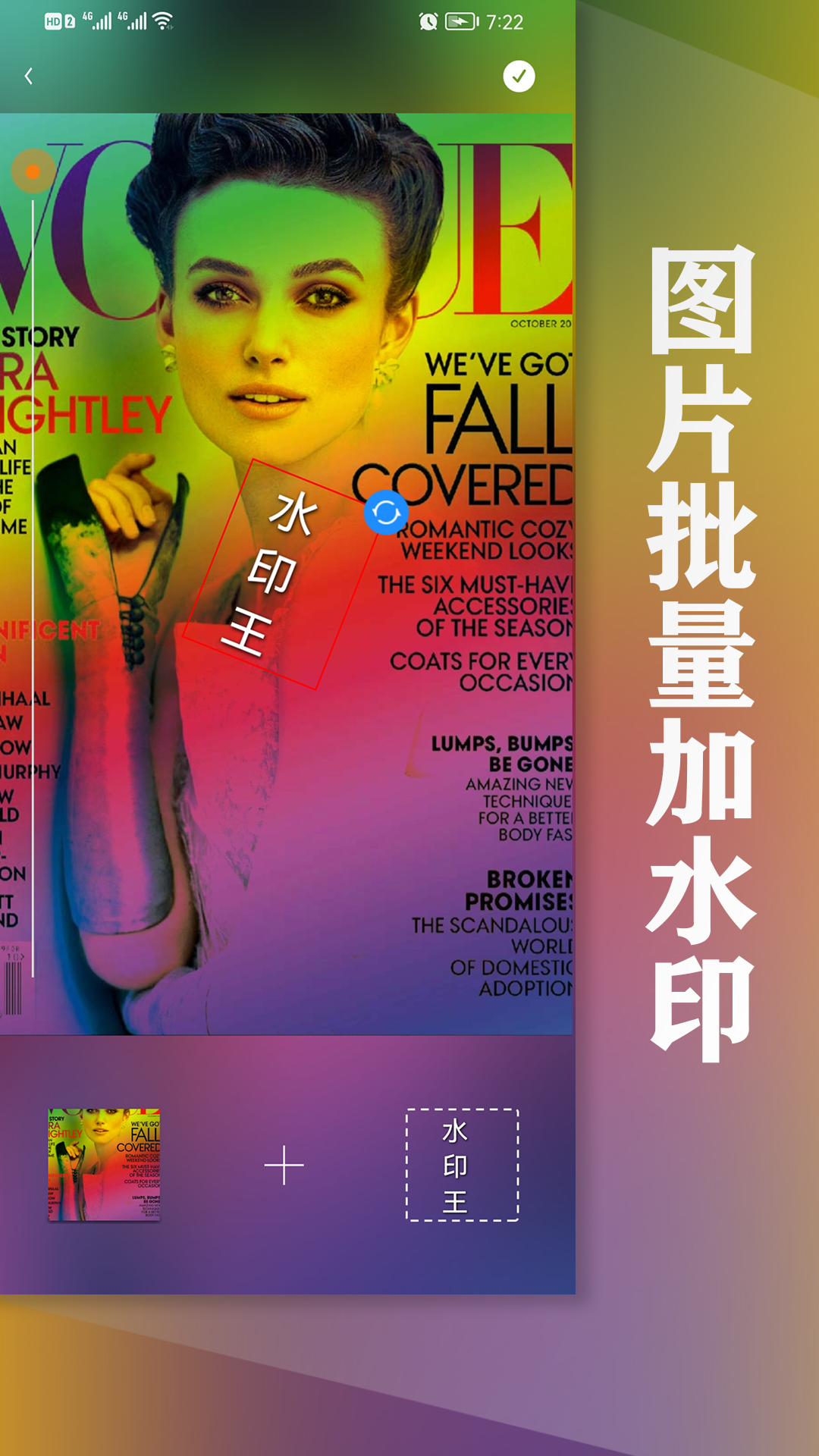 精彩截图-水印王2026官方新版