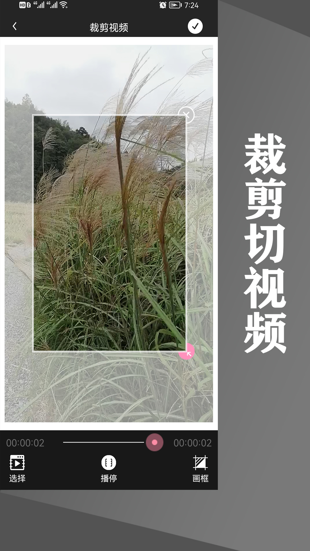 精彩截图-水印王2026官方新版