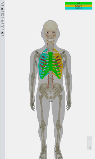 3d人體模型安卓版高清截圖