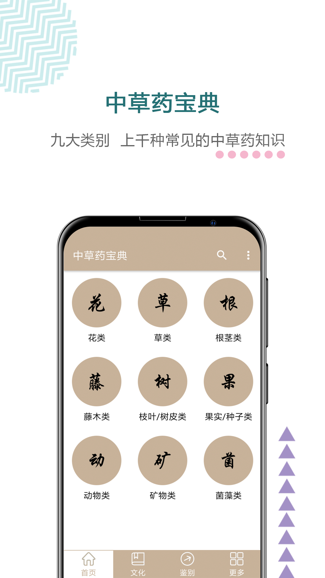精彩截图-中草药宝典2025官方新版