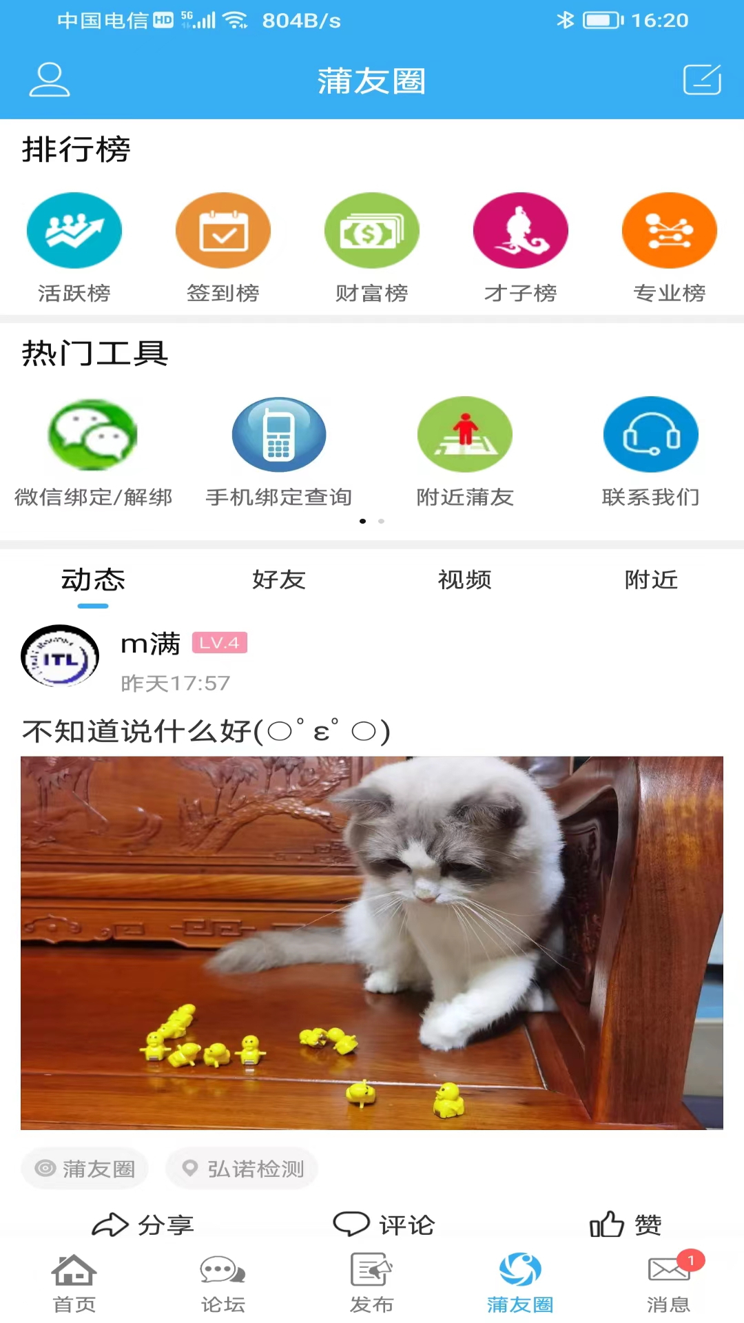 精彩截图-蒲公英2025官方新版