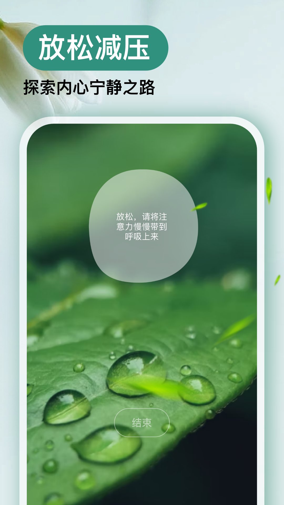 Now冥想安卓版高清截图
