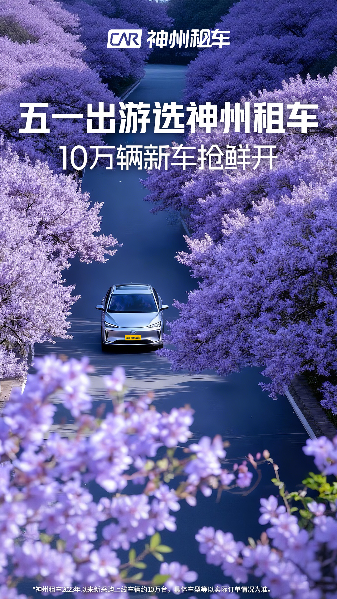 精彩截图-神州租车2026官方新版