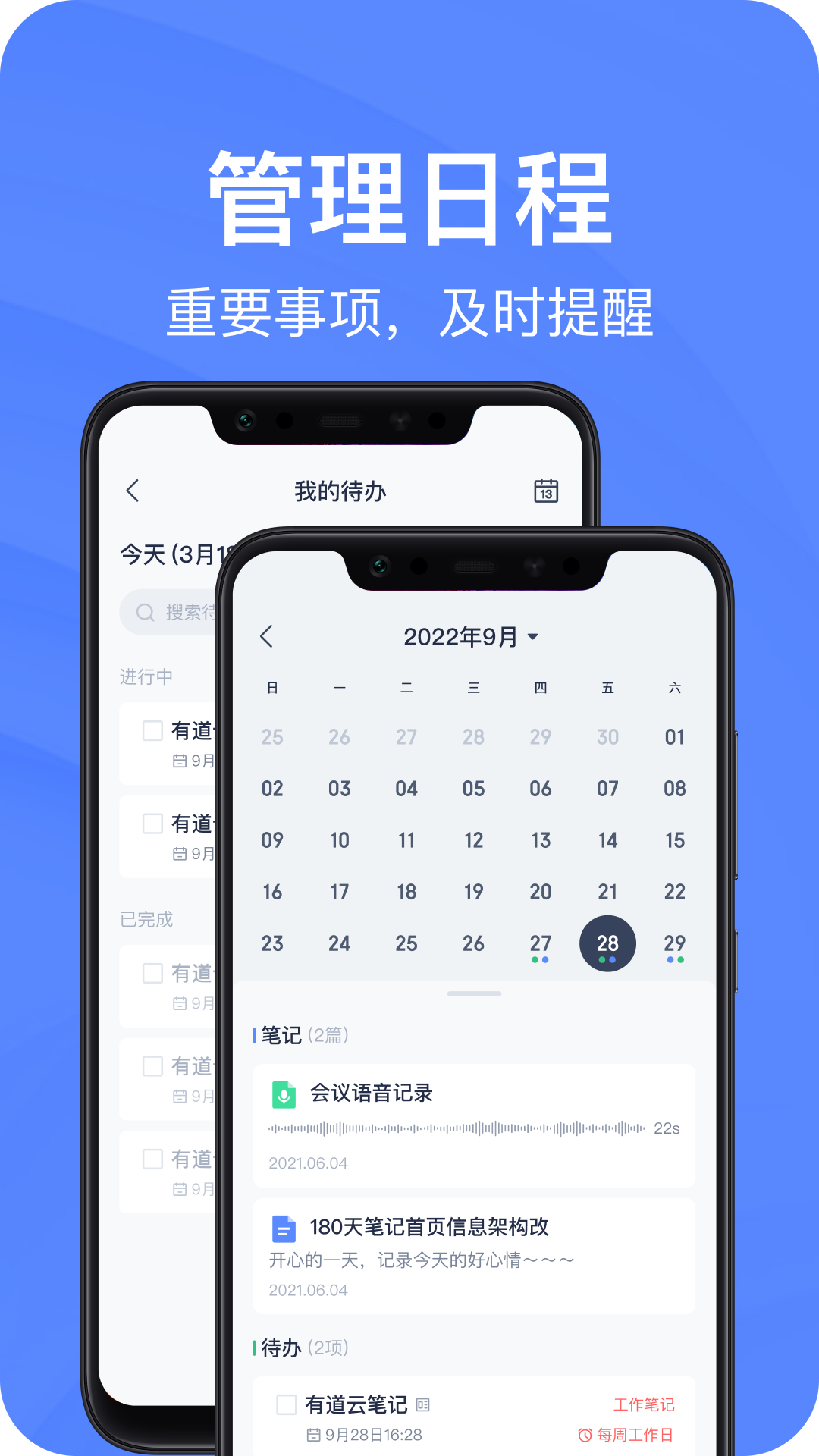  有道云笔记的标签与分类：打造你的知识管理系统  