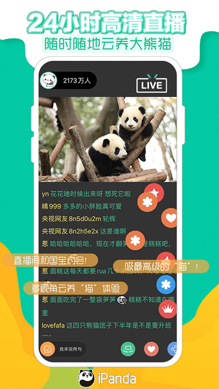 精彩截图-熊猫频道2025官方新版