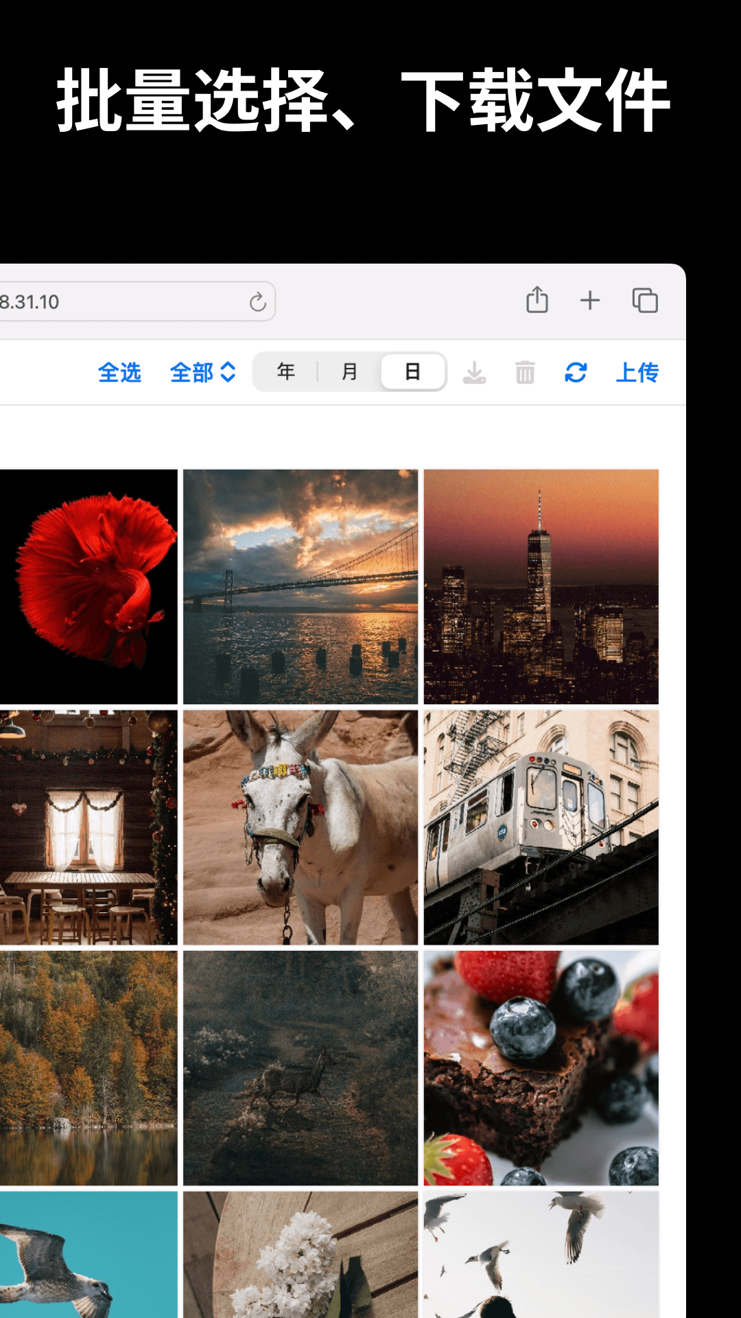 精彩截图-文件闪传2026官方新版