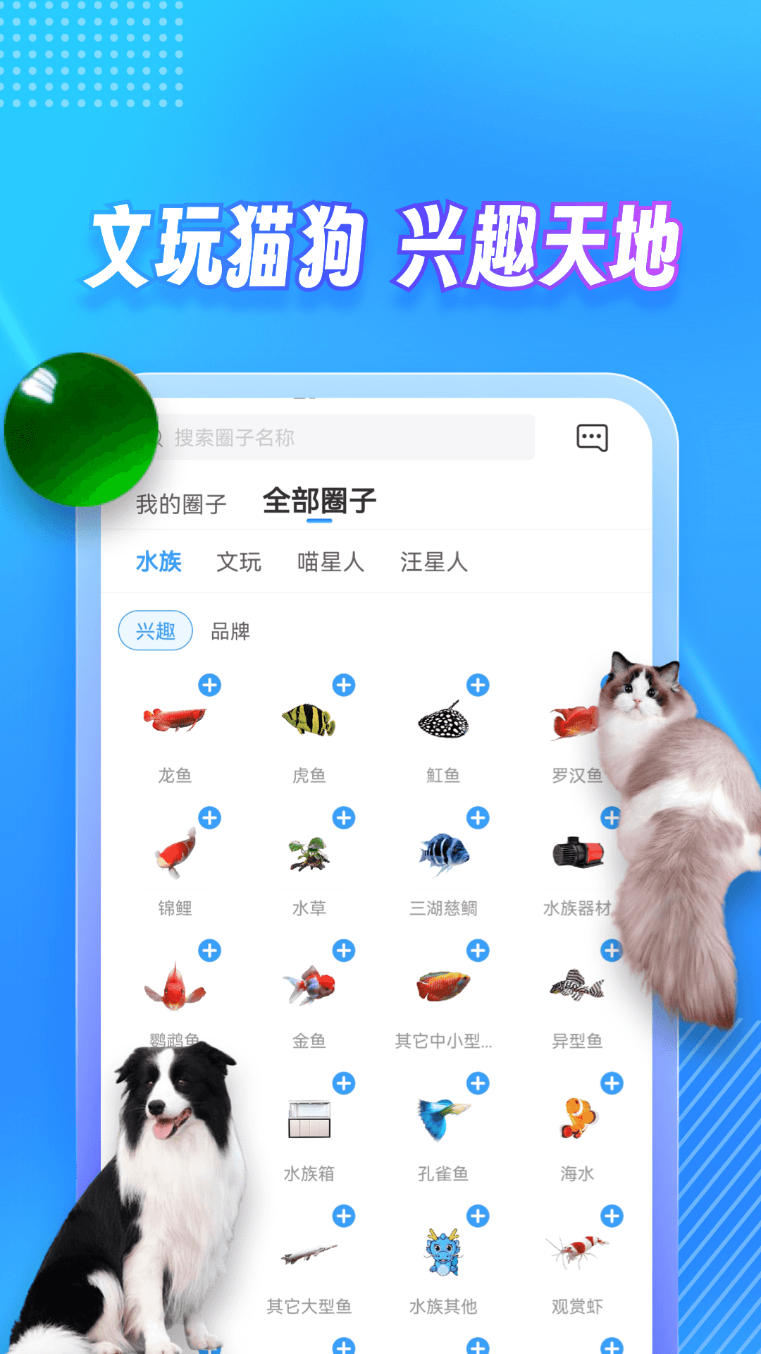 精彩截图-龙巅2025官方新版
