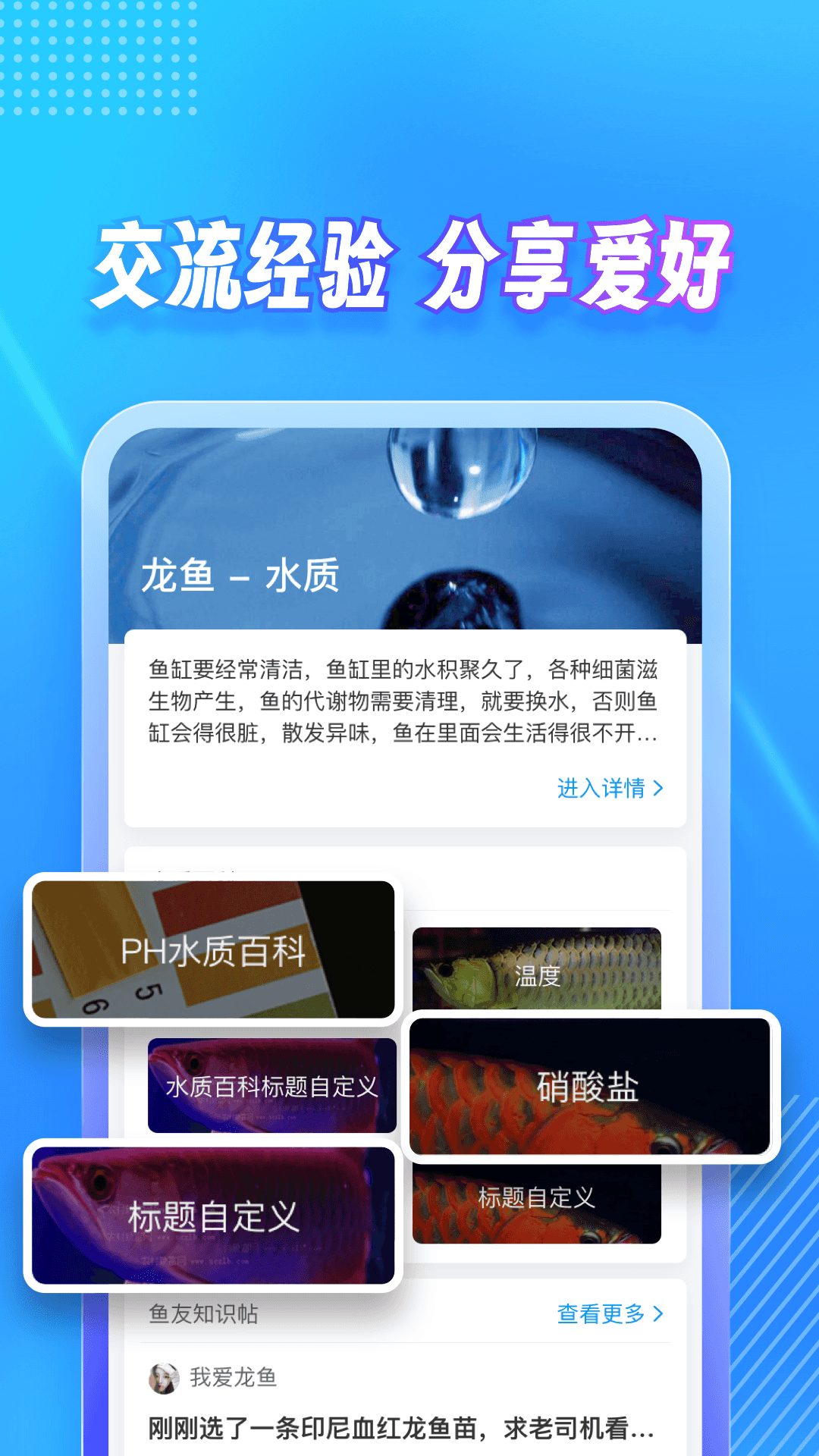 精彩截图-龙巅2025官方新版
