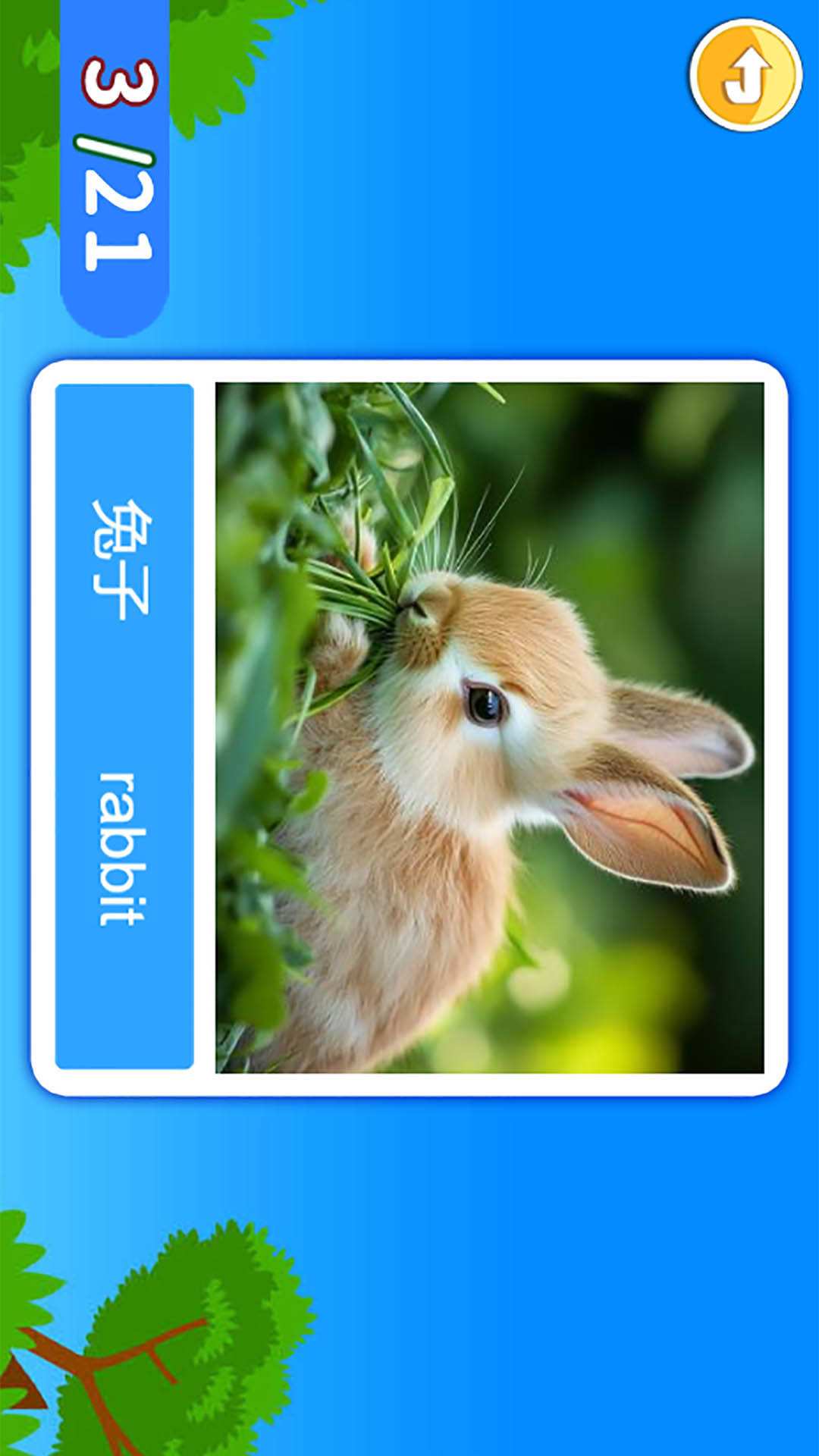 精彩截图-宝宝学英语ABC2026官方新版