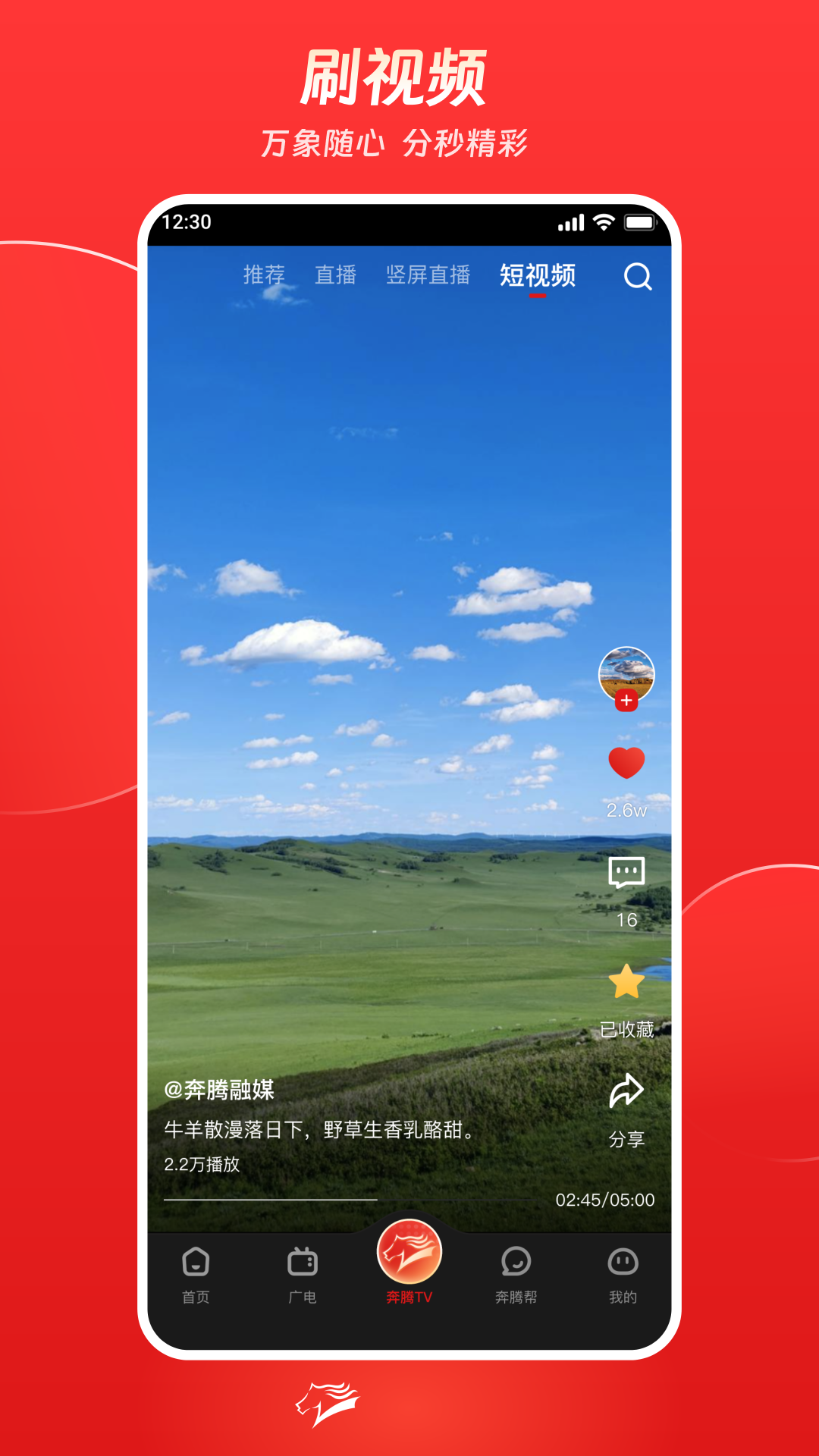 精彩截图-奔腾融媒2026官方新版