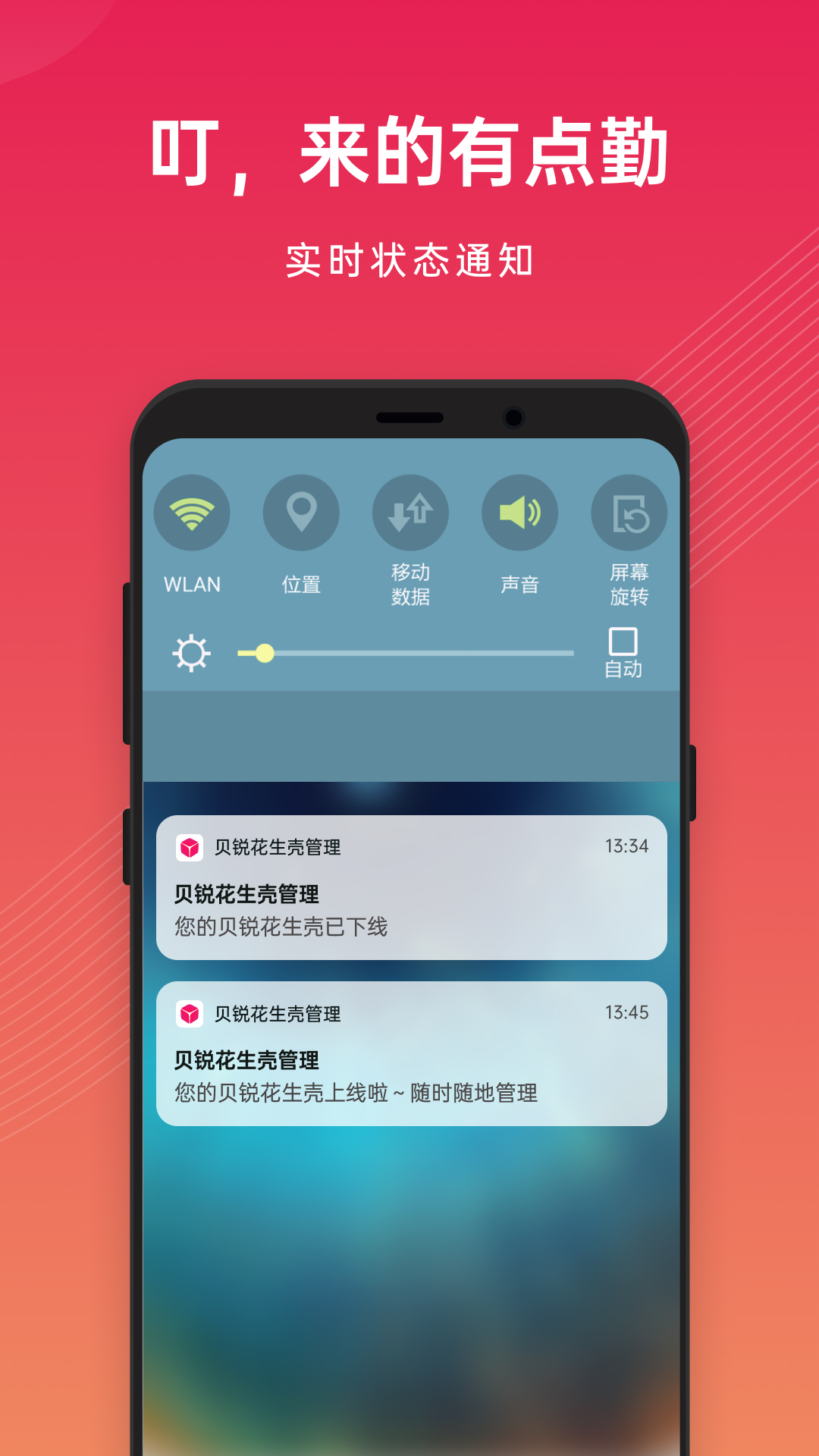 精彩截图-贝锐花生壳管理2026官方新版