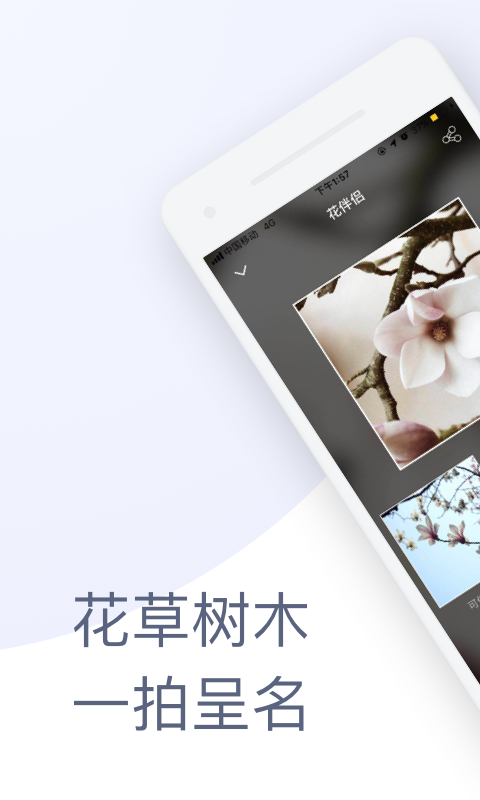 精彩截图-花伴侣2026官方新版