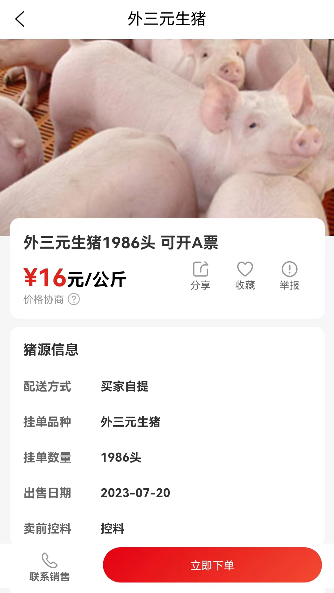国家生猪市场 截图 2