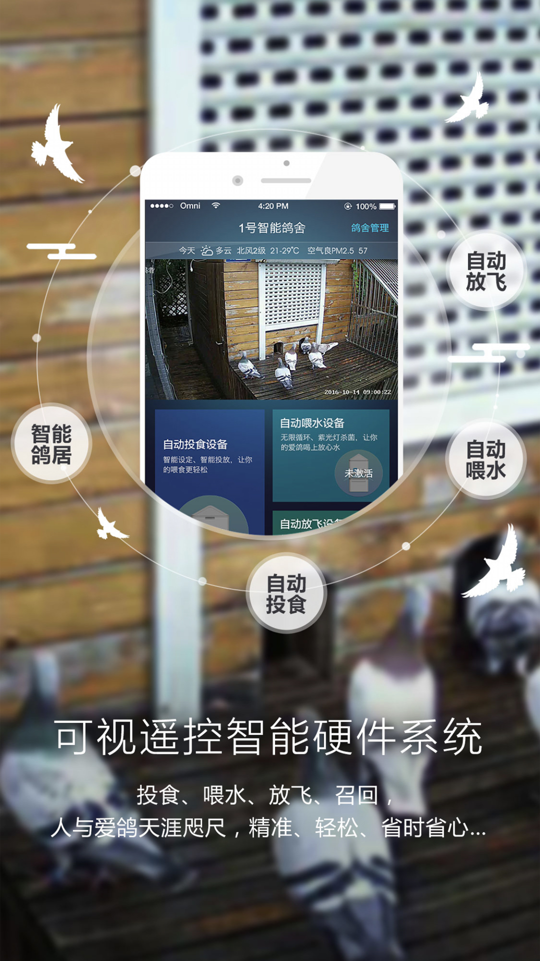 精彩截图-爱鸽者2025官方新版