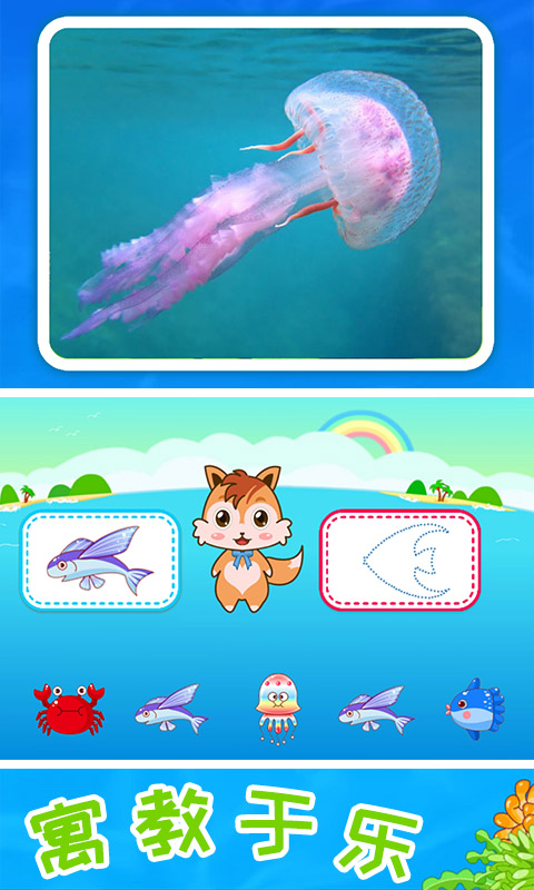 精彩截图-儿童宝宝海洋世界2024官方新版