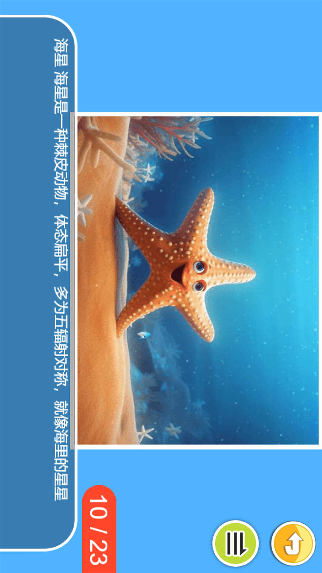 精彩截图-儿童宝宝海洋世界2026官方新版