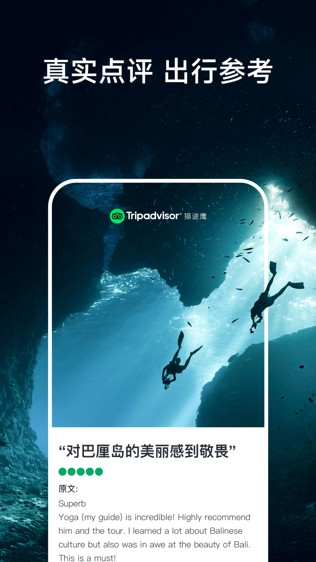 精彩截图-Tripadvisor猫途鹰2026官方新版