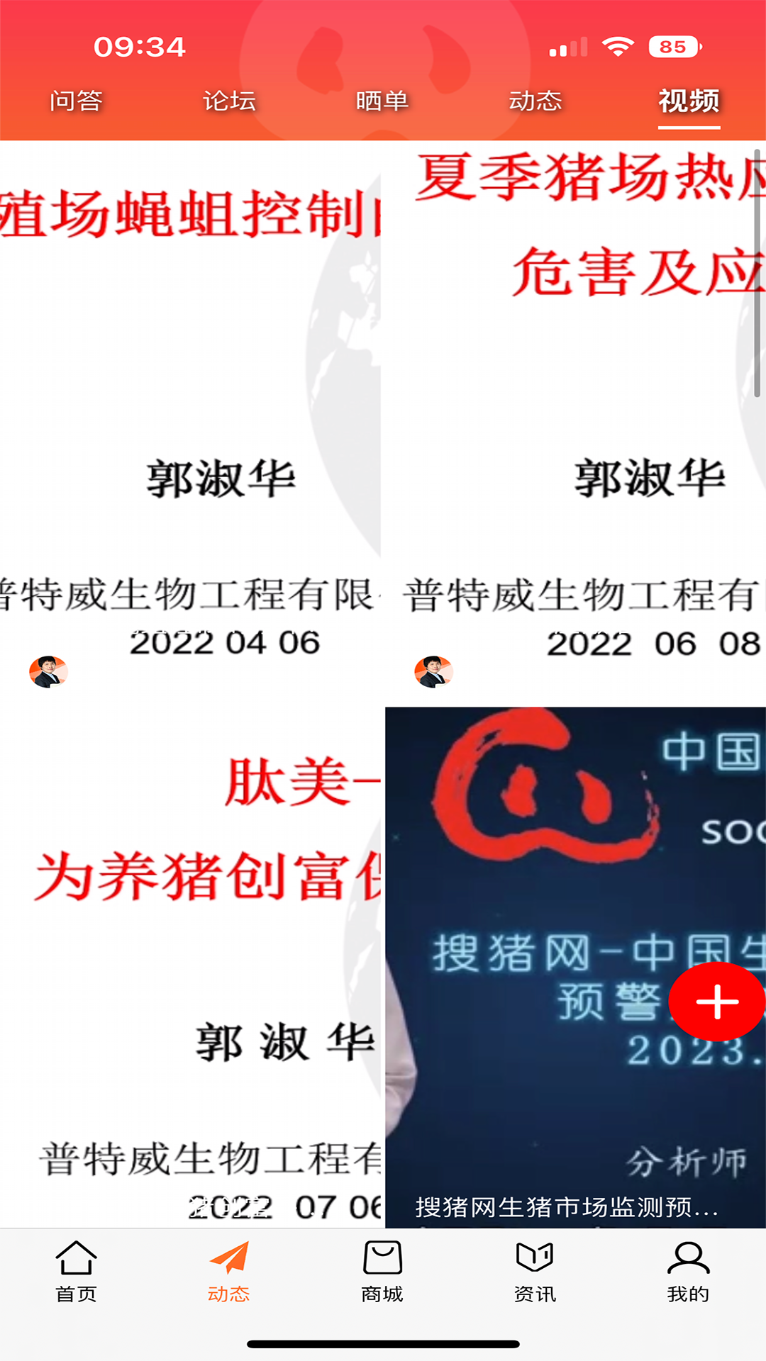金猪截图