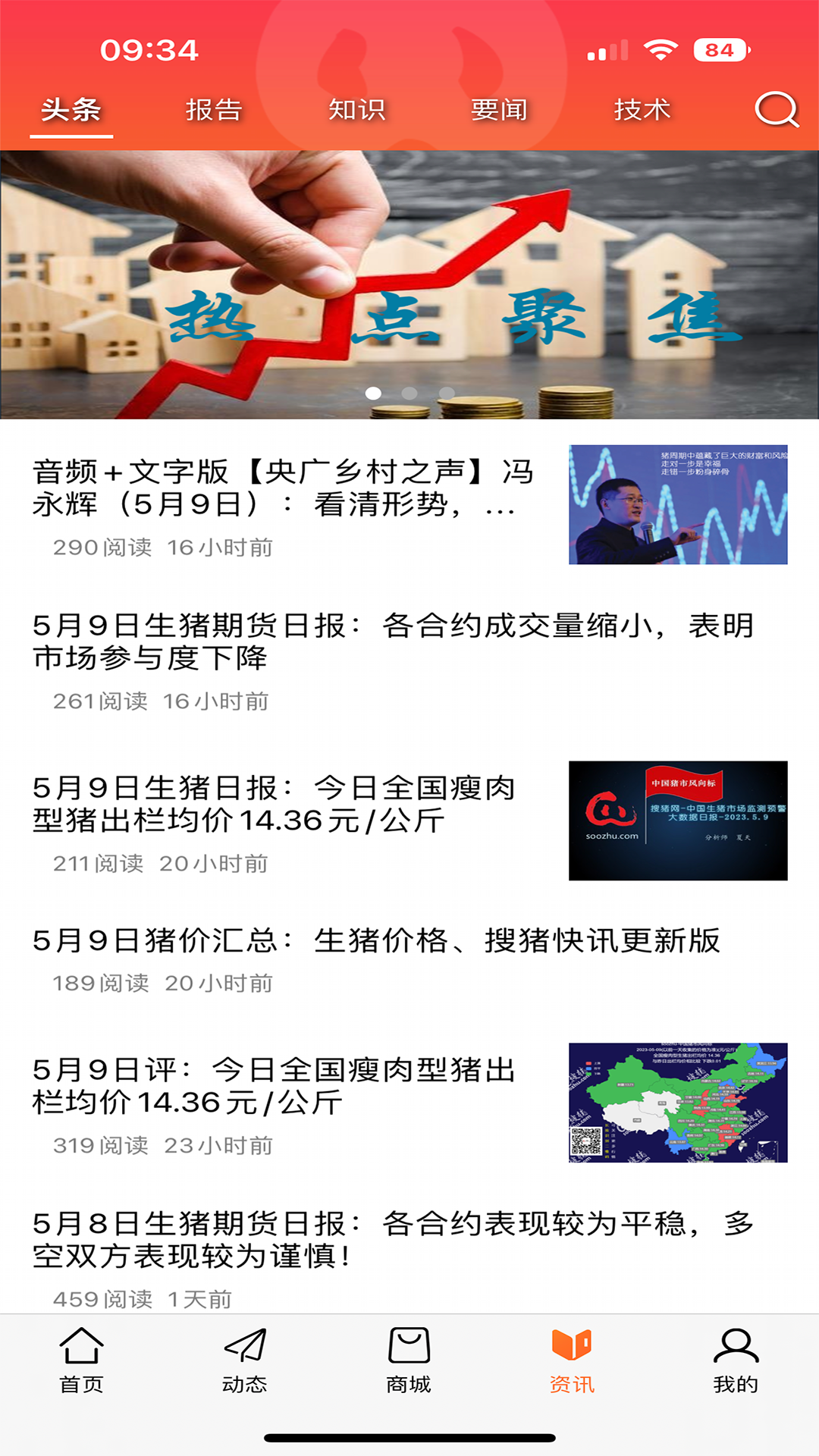 金猪截图
