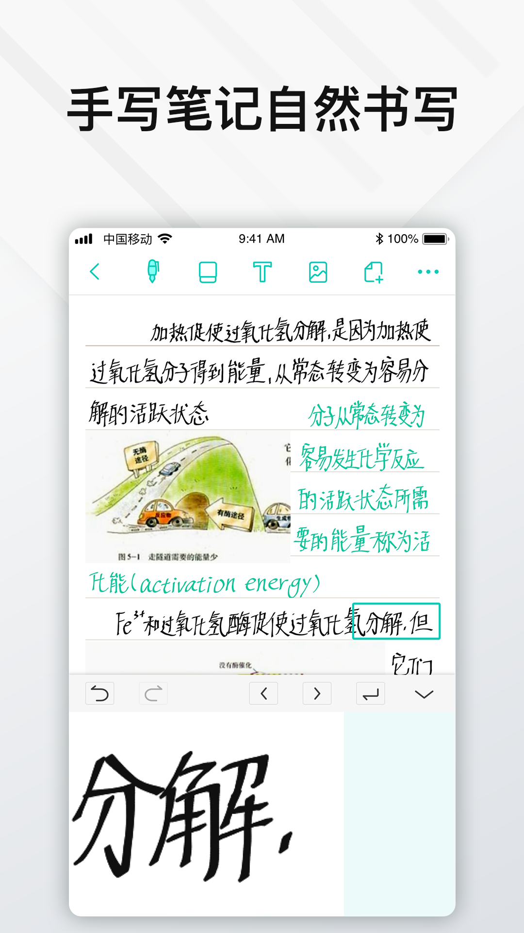 精彩截图-Elfinbook易飞2026官方新版