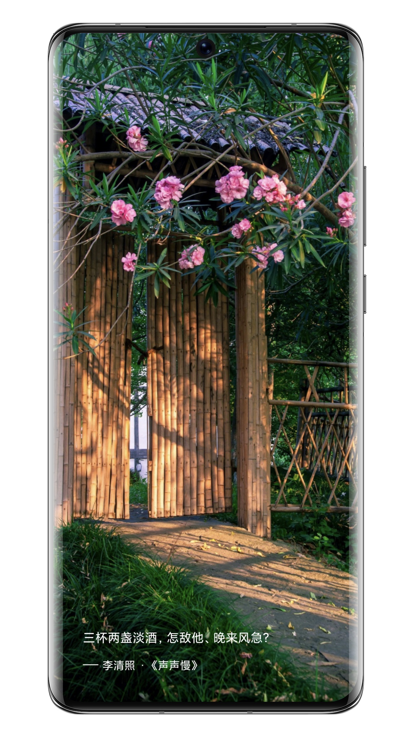 精彩截图-诗词之美2026官方新版