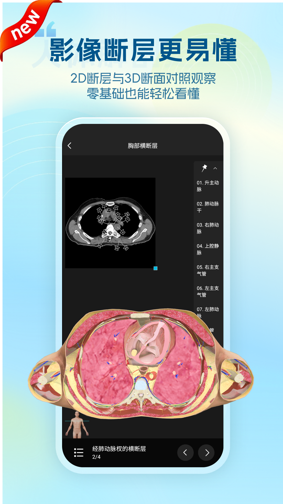 精彩截图-维萨里3D解剖2026官方新版