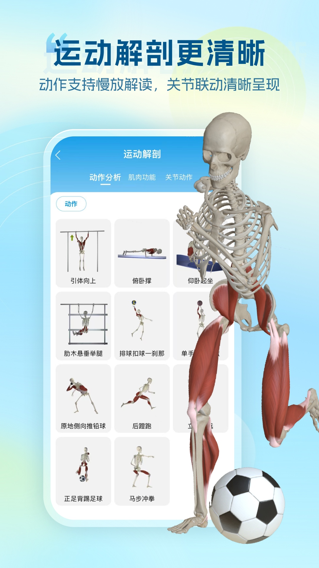 精彩截图-维萨里3D解剖2026官方新版