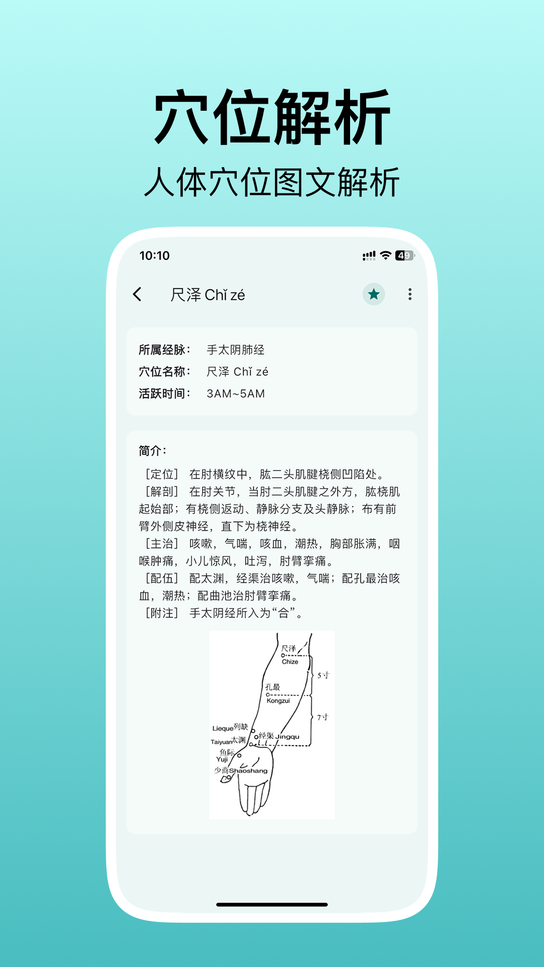 精彩截图-人体穴位图解2025官方新版